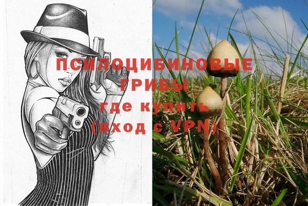 дмт Волоколамск