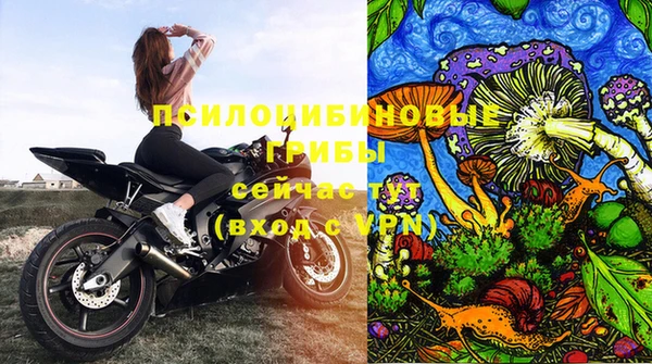 spice Волосово