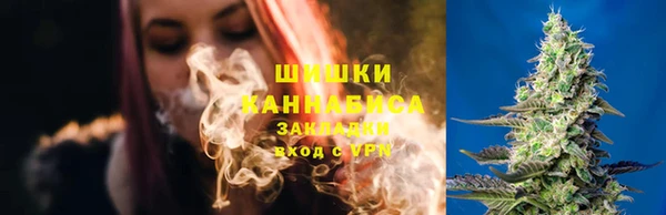 молекула духа Володарск