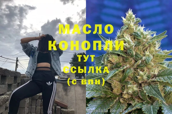шишки Вяземский