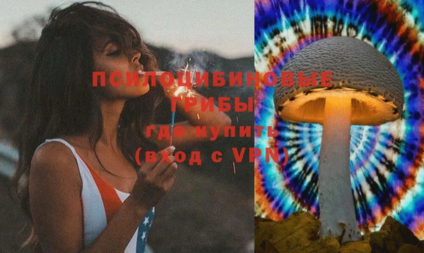spice Волосово