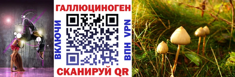 Галлюциногенные грибы мицелий  Купить закладки  Котельники 